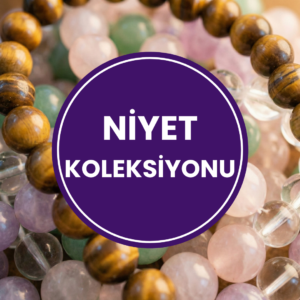 Niyet Koleksiyonu